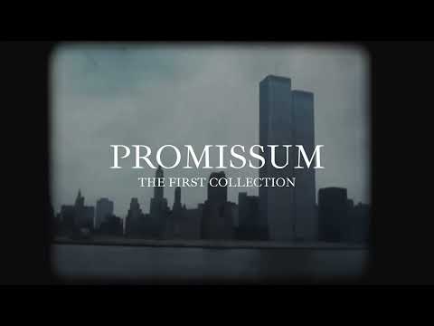 Promissum - PROMISE_V1 (Analog Horror)