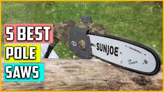 The 5 Best Pole Saws Reviews and Buying Guide 2023