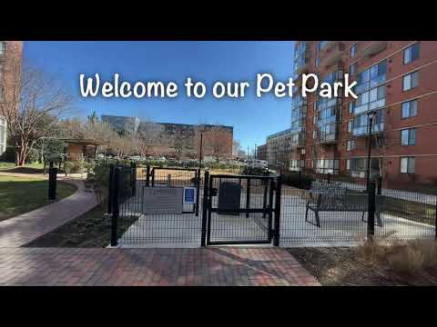 Take a Tour of Our Pet Park and Spa