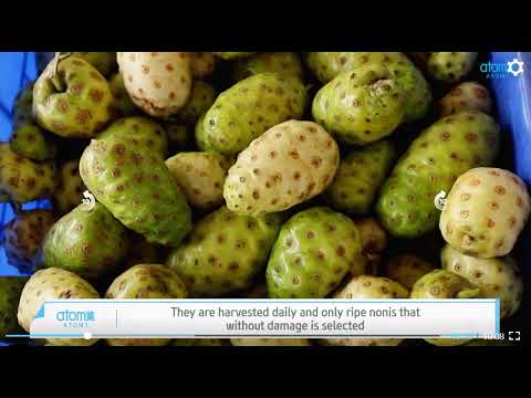 [ENG] Atomy Online Tour - NST Bio, Orot - Fermented Noni Production, AS 08-10-2022