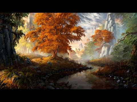 Relaxing Music Mix | Florian Bur