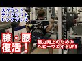 怪我で落ちた筋力を取り戻す為に行う下半身のヘビーウェイトトレーニング【#筋トレ #スクワット #デッドリフト #レッグプレス】