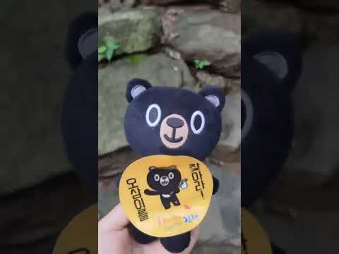오삼이를 찾아라! - 물소리생태숲 편 2 -