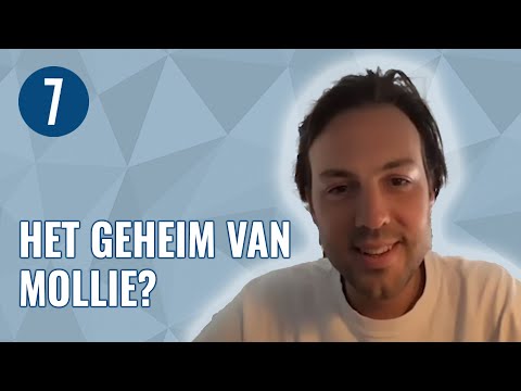 Adriaan Mol — Ondernemer Adriaan Mol (Mollie): ‘Per dag sluiten we 250 nie