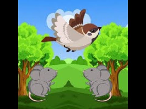 sparrow meets crow buddies video walkthrough