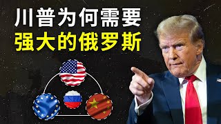 中美俄欧，围绕俄乌停战的四方暗战 | 普京习近平互信 | 欧洲右转 | 欧洲军费