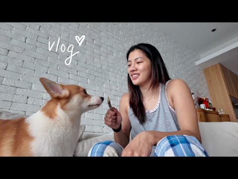 Day in My Life With Koda 🐶🤎