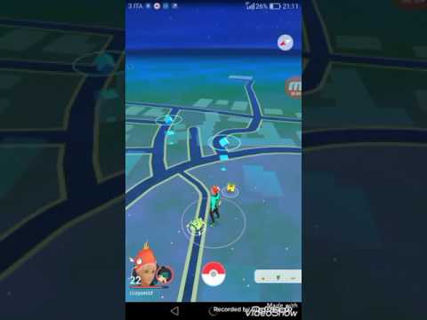 Battiamo la palestra di isolaltopoli !