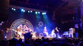 The Heart Of The Sea - Flogging Molly at The Great Saltair