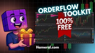 Hameral Order Flow Basic Pack for NinjaTrader 8 (FREE)