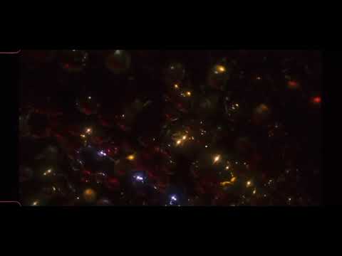 CECILIO G FT SARA MALACARA 🎄🚯💆🏻‍♀️❤️‍🔥🚯🎄 REGALITO DE NAVIDAD