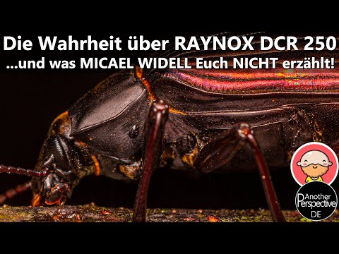 Der Größte Hack für die Makrofotografie! Was Euch MICAEL WIDELL nicht erzählt...