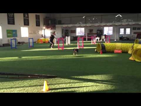 Kayl McCann with Rad & Fun - OMD with Jaakko - Day 4