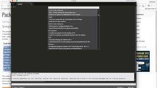 2. Making Sublime Awesome: Installing Package Control