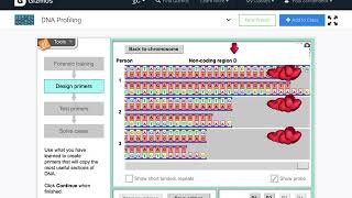 How to design your primers (DNA profiling Gizmo)