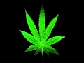 Kid Cudi - Marijuana (Lyrics) *HD* 