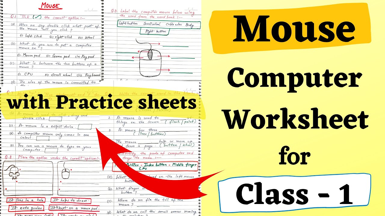 Computer Mouse Worksheet for Class 1| Mouse Class 1 Computer Worksheet | Mouse {Worksheet} Class 1st