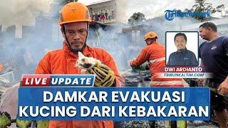 Penuh Haru! Detik-detik Aksi Heroik Damkar Balikpapan Selamatkan Anak Kucing dari Kebakaran
