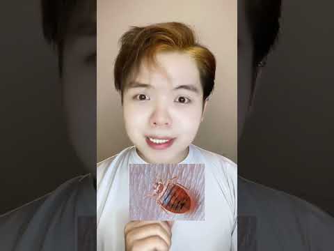 Làm Sao Để Nhan Sắc Lên Hương😽 P1