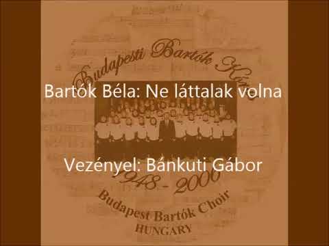 Video thumbnail for Ne láttalak volna