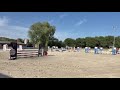 Poney