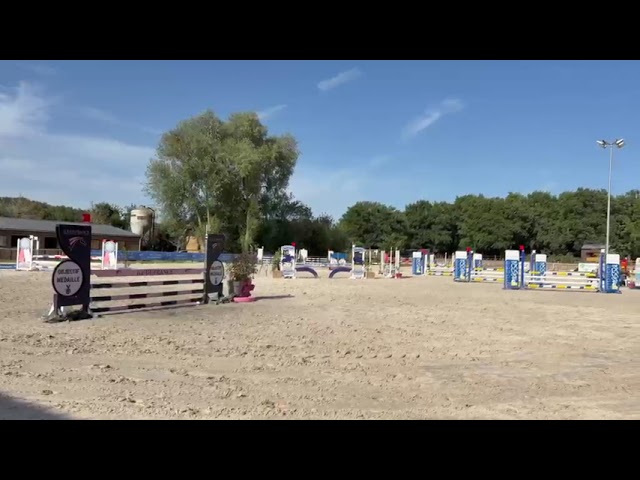 Poney 