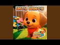 Incy Wincy Spider