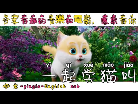 【Chinese pop songs】学猫叫-Learn to meow together/我们一起学猫叫，一起喵喵喵喵喵【動態歌詞/Vietsub/Pinyin /English Lyrics】