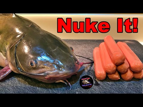 MICROWAVE Hot Dogs for Tougher Catfish Bait!