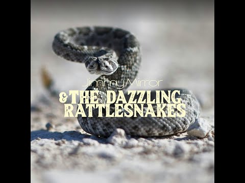 Jimmy Mirror & The Dazzling Rattlesnakes - Desperado