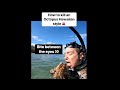 THE MOST HUMANE WAY TO KILL AN OCTOPUS Shorts