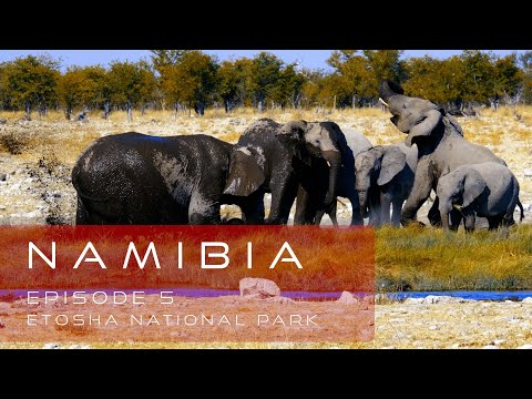Namibia Road Trip & Photo Tour - Episode 5 - Etosha National Park