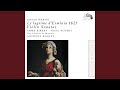 Theme (Live)