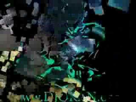 djokan vs. equator (2008) www.djokan.org