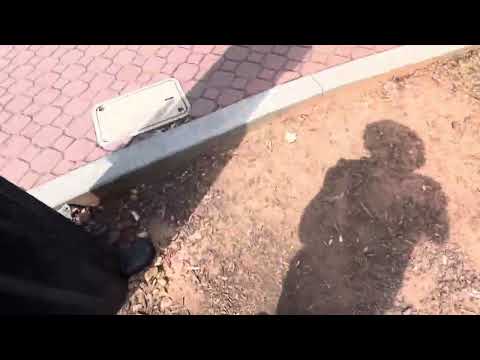 Walking to corner of College Ave and Tiger Blvd/U.S. 123, Clemson, 1430 hrs, Thu 25 Sep 2025 84° 67%