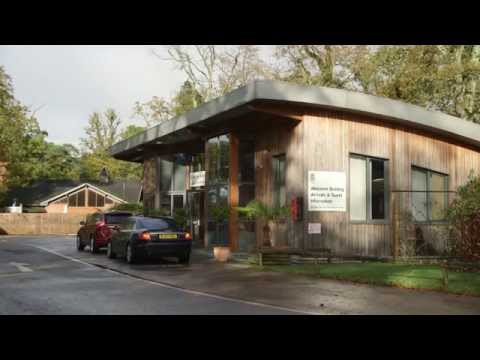 Practical Motorhome visits the New Forest