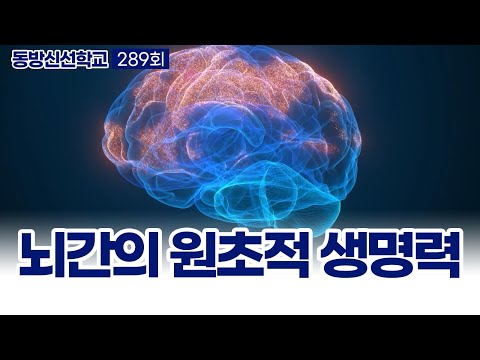 기초(숨) 수행과정