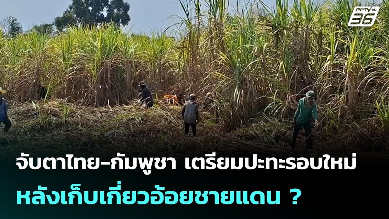 จับตาไทย-กัมพูชา เตรียมปะทะรอบใหม่ หลังเก็บเกี่ย?