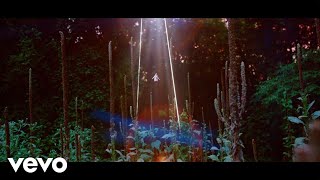 Cults - I Took Your Picture With My Eyes Closed