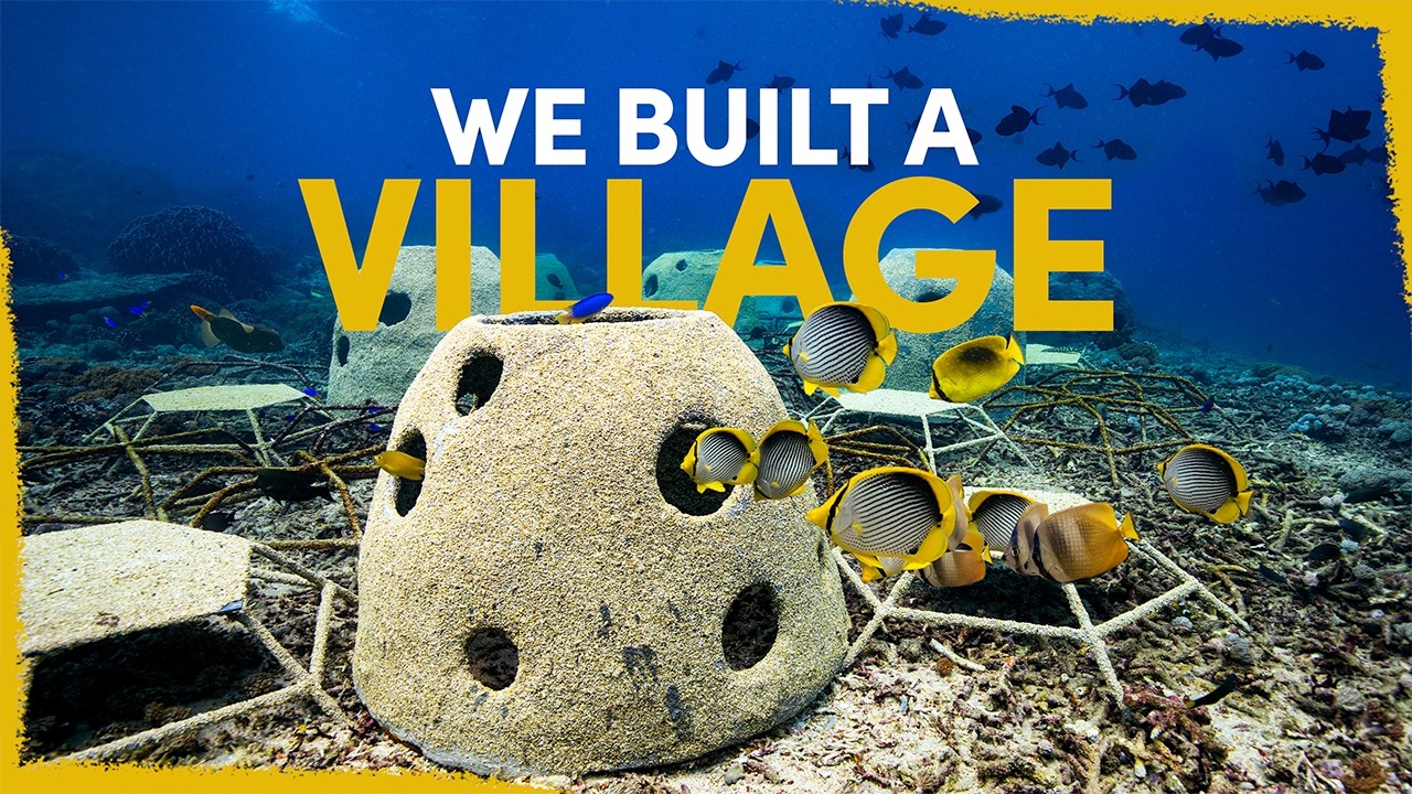 We Built It… They Came