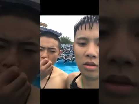 Abrupt Chaos (r/AbruptChaos) - trending goes brrr #Shorts