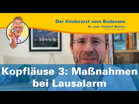 Kopfläuse 3: Maßnahmen bei Lausalarm - Der Kinderarzt vom Bodensee