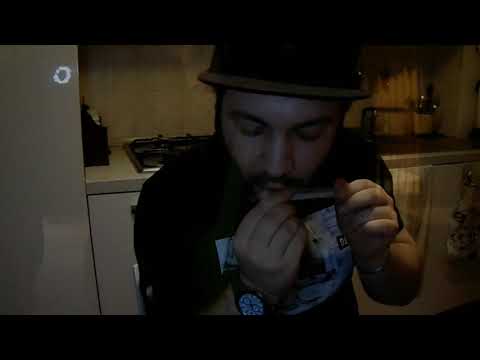 SELVAGGINA - Y.Zeezy, Dante LSD, Italiano