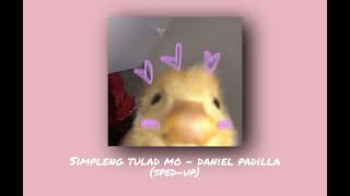 Simpleng Tulad Mo - Daniel Padilla (sped-up)