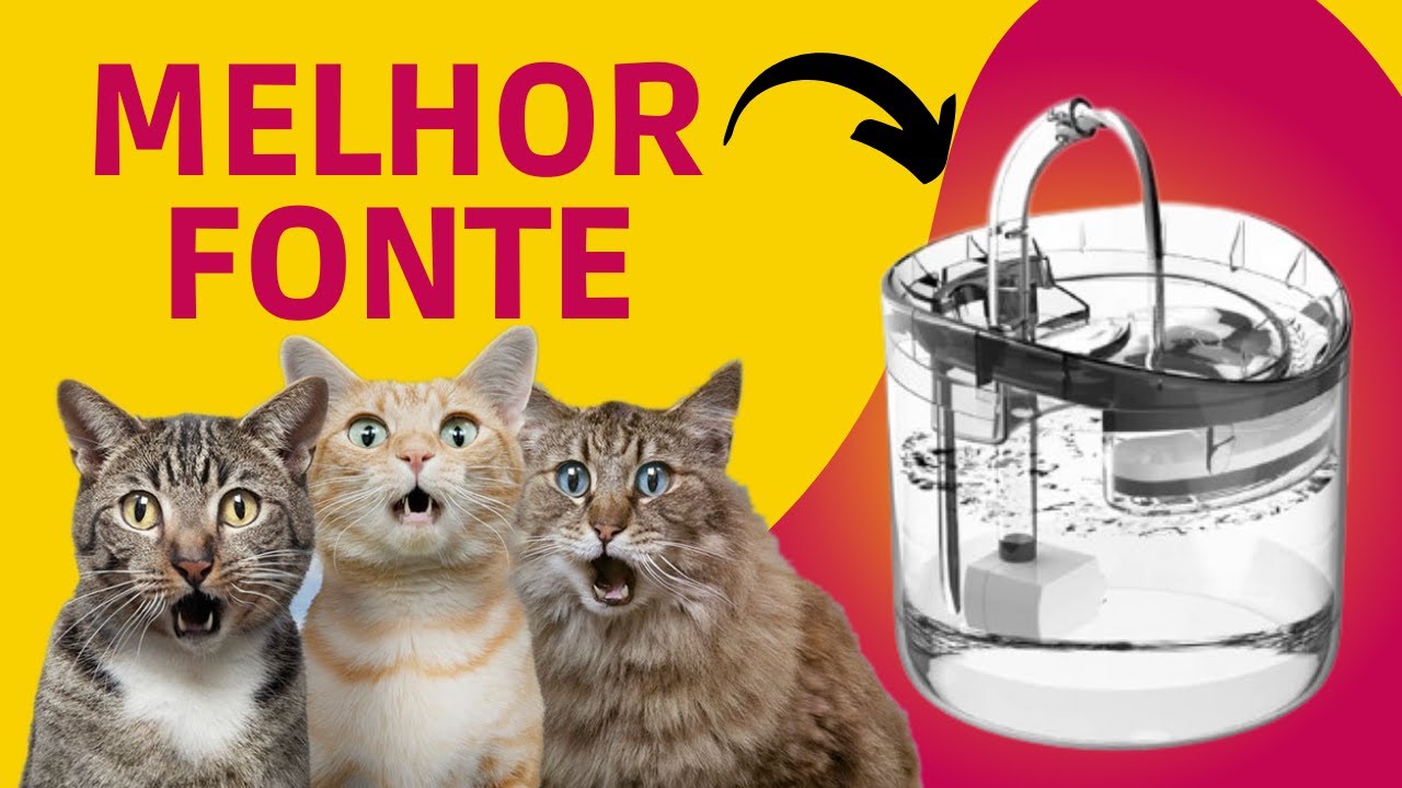 ESSA É A MELHOR FONTE DE AGUA PARA GATOS! [Bebedouro Para Gatos] 🤩