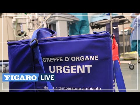 🔴Greffes et don d’organes : le professeur Mimoun répond à vos questions