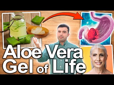 ALOE VERA HEALTH BENEFITS - What Is It Good For And How To Use It