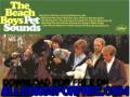 beach boys - Caroline, No - Pet Sounds 