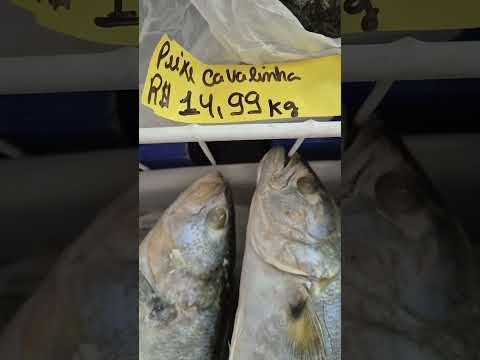 Peixe por R$14,99 😱 Tá barato? #Shorts