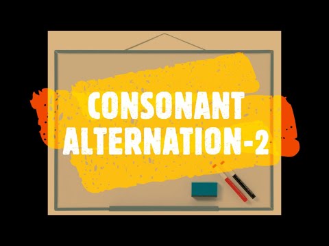 Learn Turkish Lesson 7 - Consonant Alternation 2 (Ünsüz Değişimi)